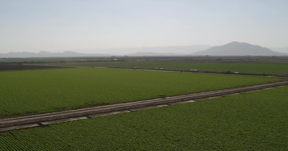 Aerial view of crops on farmland dirt roads in between