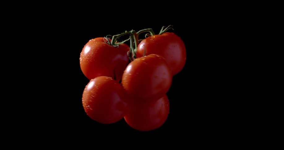 A bunch of fresh red tomatoes with a wet surface is looking delicious while spinning in front of black background