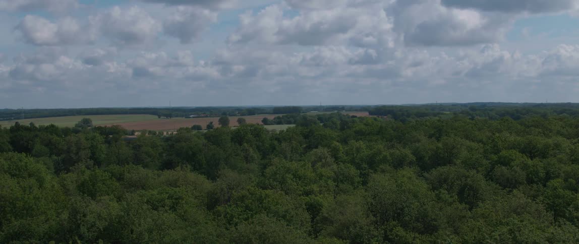 Aerial view coming over wooded area toward farmland