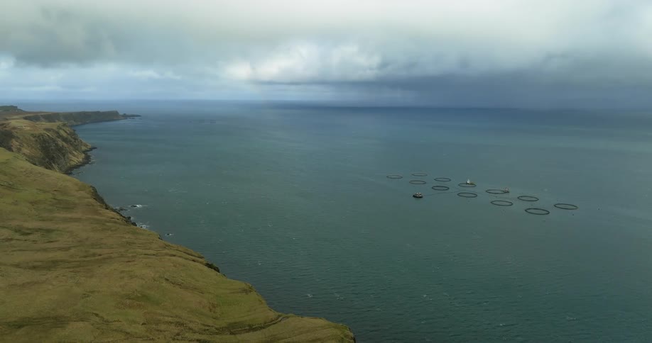 Aerial view of floating fish farm nets near the cliffs on the coast at daytime