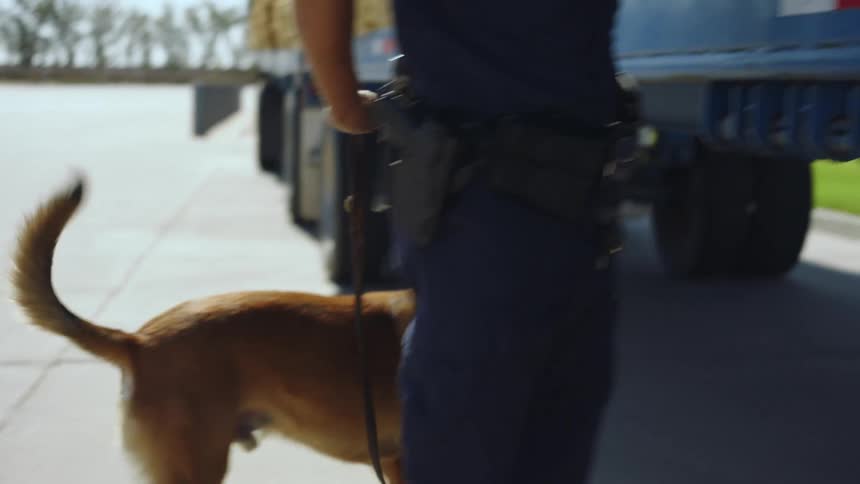 A police dog is barking at a truck