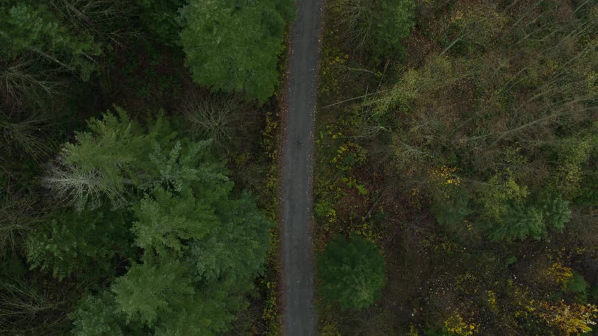 A top down aerial view of a forest and a road in the middle with a person on the road