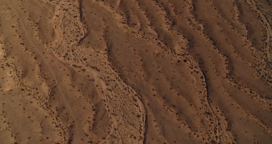 The desert is full of dunes