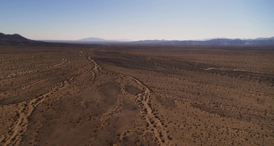 Tire tracks run through a desert near a canyon