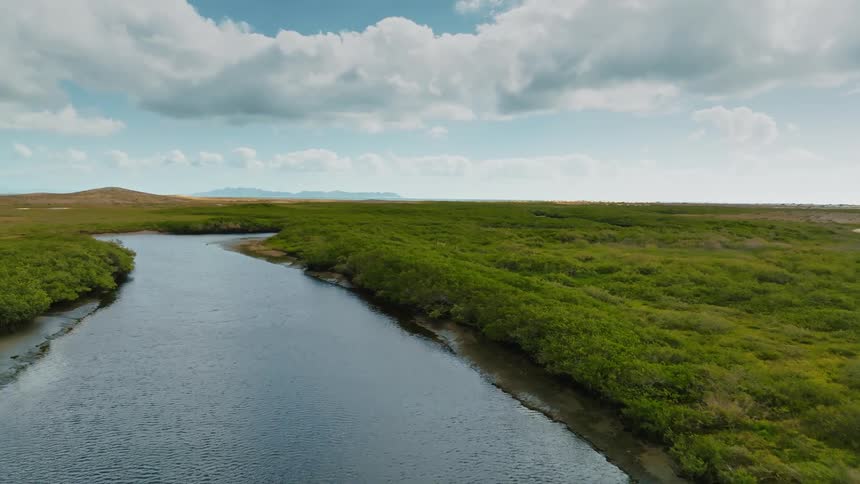 A river during the spring time is displayed