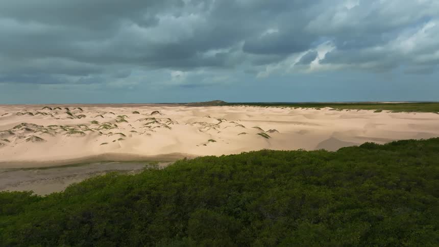 A sandy beach near the ocean is displayed in spring