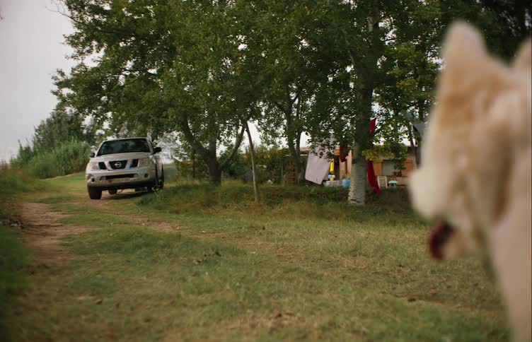 A dog walks toward a car while a few men walk around the house