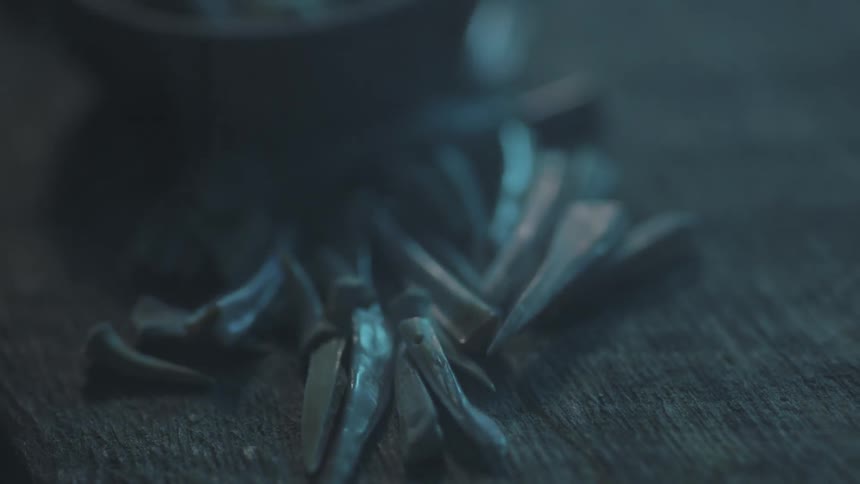 Teeth like looking fossils on a table