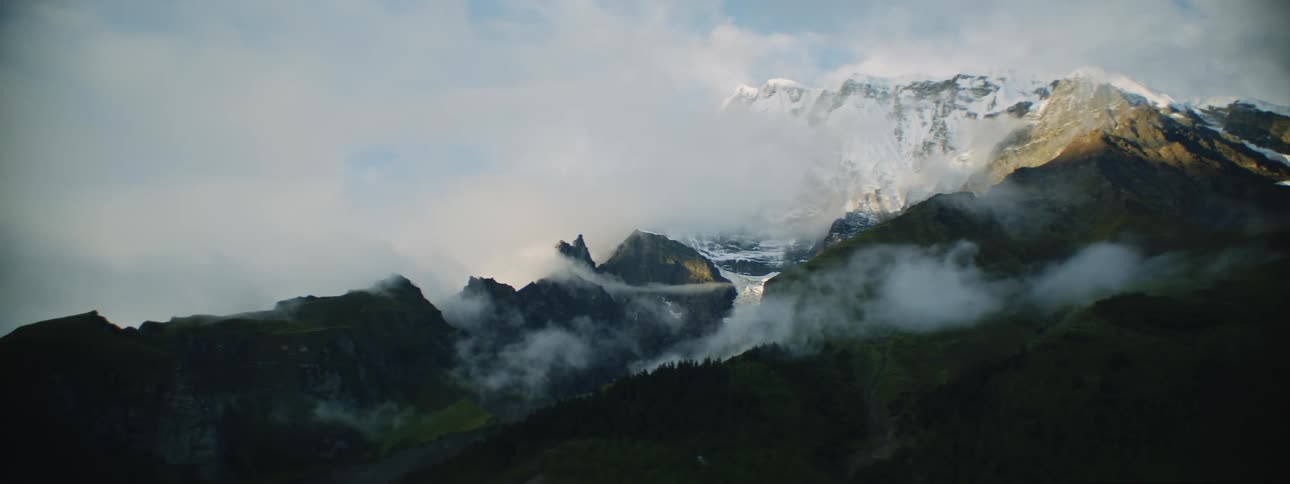 Fog rises from trees along a forested mountain and there are snow covered mountains in the distance