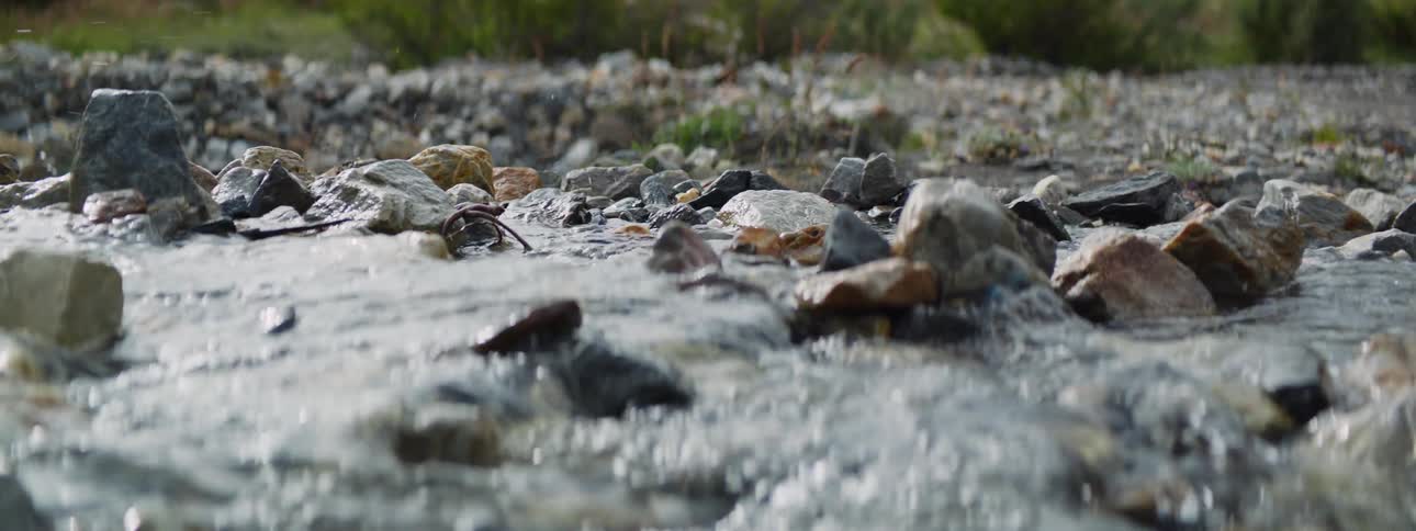 Narrow stream flowing in the field