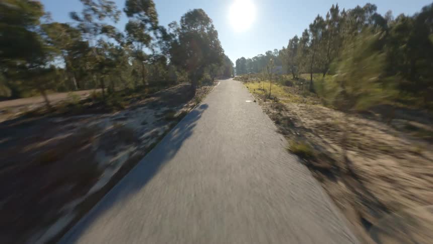 An automobile is parked on a rural road running through woodland as the sun shines brightly in a clear sky