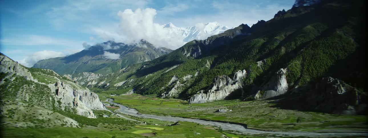 Scenic Green Valley: Lush Vegetation Amidst Forested Mountains
