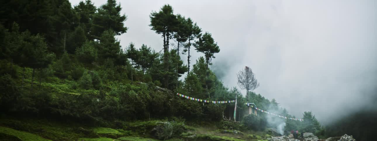 Enchanting Mountain Ambience: Foggy Day Campfire in the Forest