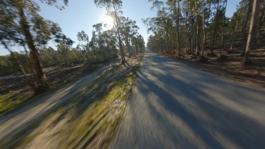 Moving over a quiet rural road surrounded by trees and wilderness as the sun shines brightly in a clear sky