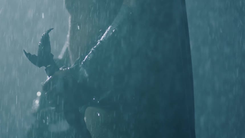 A man holds a sword in the rain