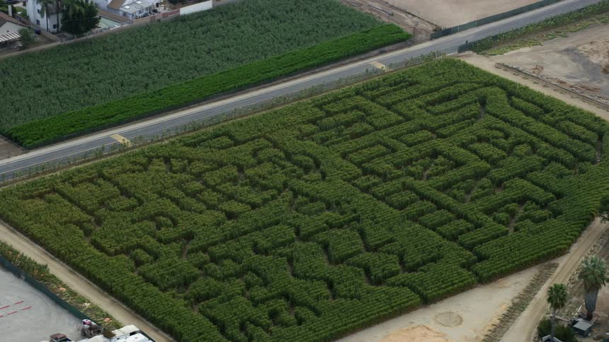 This aerial footage captures the beautiful Forneris Farms corn maze in Mission Hills California during daytime in summer