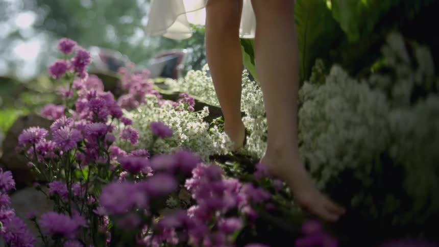 A woman walks through the flowers