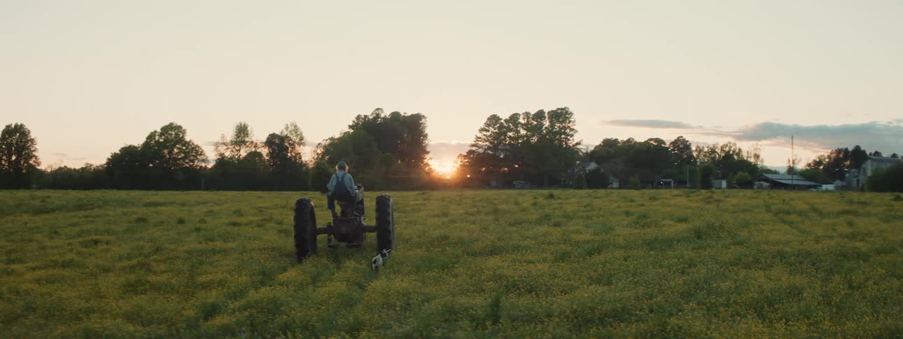 A farmer drives a tractor across a field at sunset while two small dogs follow behind