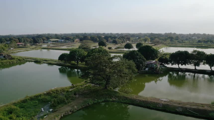 Several small ponds are shown surrounded by trees and grass