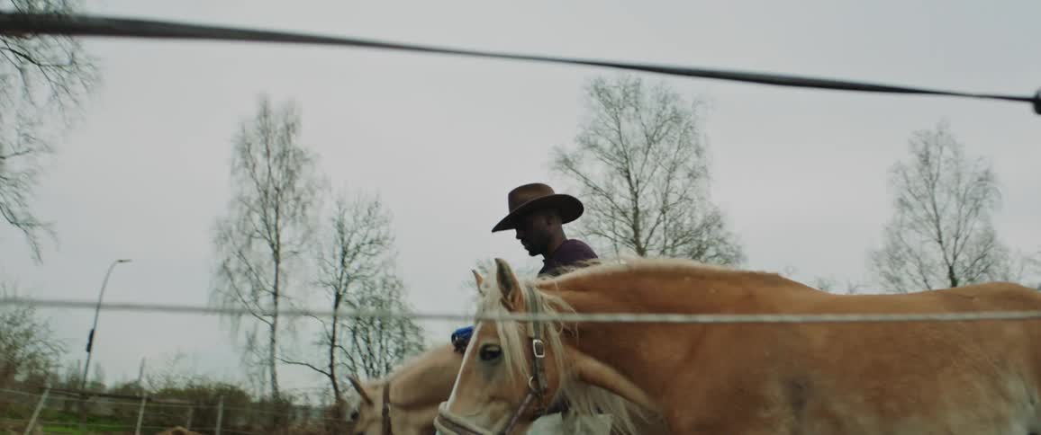 A man walks two horses around an enclosure with a dirt ground