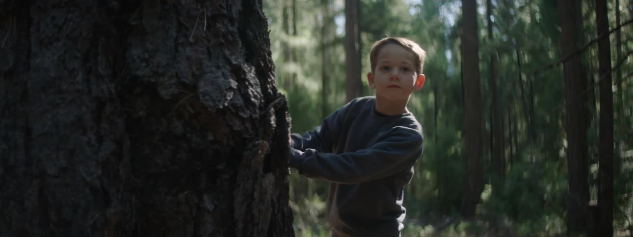 Boy runs to lean against large tree in conifer forest and then stares surprised