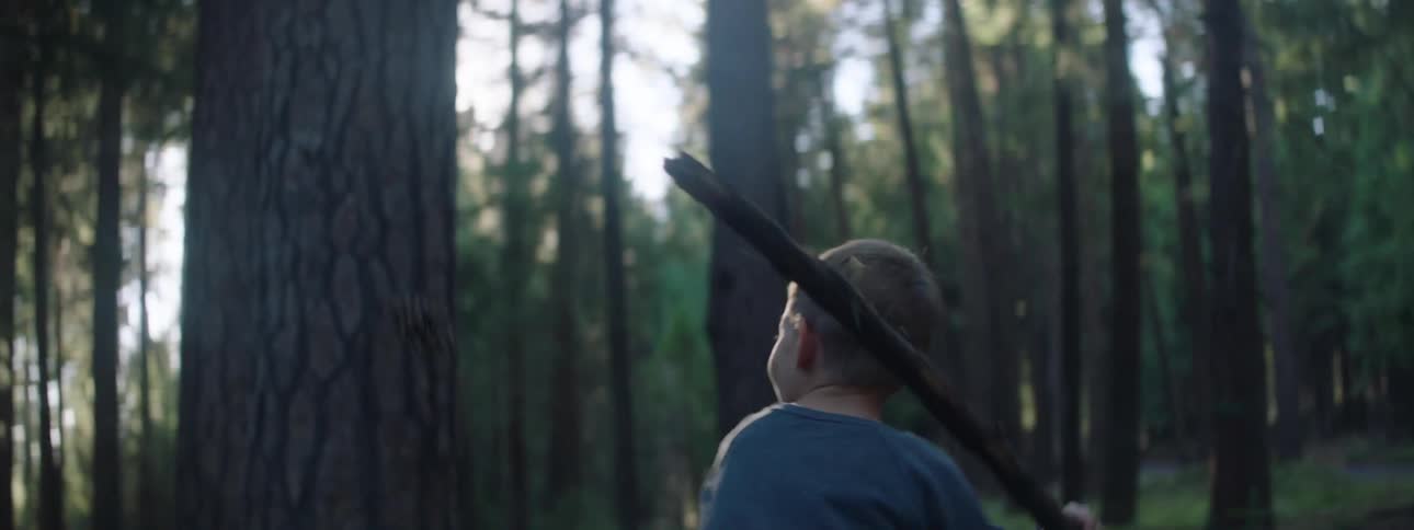 Boy throws pine cone into the air and hits it with a stick while standing in conifer forest on a sunny day