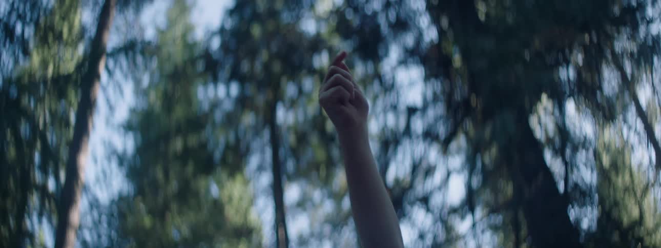 A child standing in the woods raises their hand and arm high into the air as the sun shines on trees in the distance