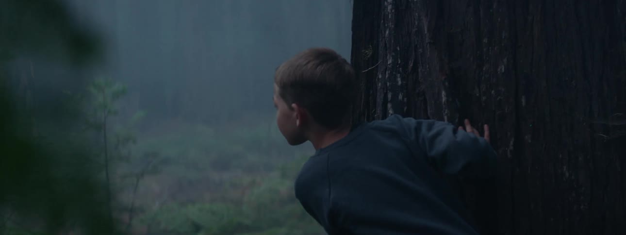 Boy with dark blue shirt peeks out from behind tree trunk in the woods