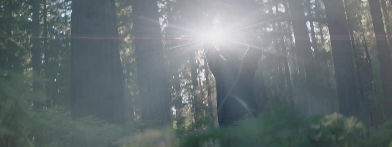 A little boy is playing in the forest twirling a stick over his head as rays of sunlight shine brightly through the trees