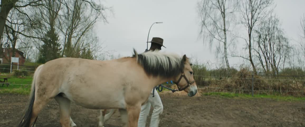 A man is walking with his horse on a farmland area