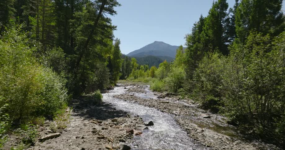 A stream flows through a forest toward a distant mountain
