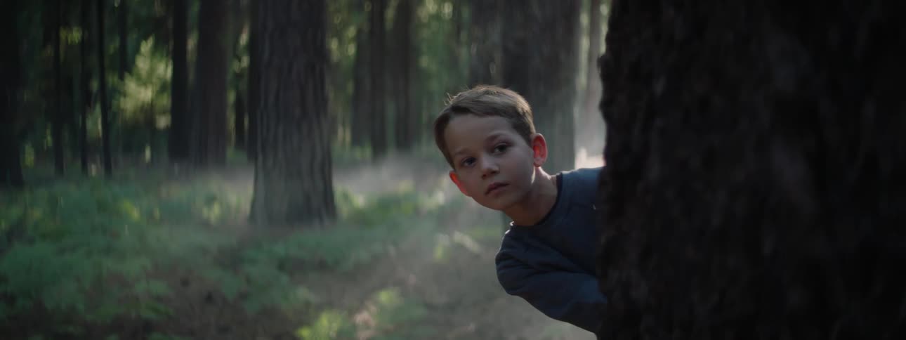 A little boy peaks his head out from behind a large tree trunk surrounded by other large trees in the forest