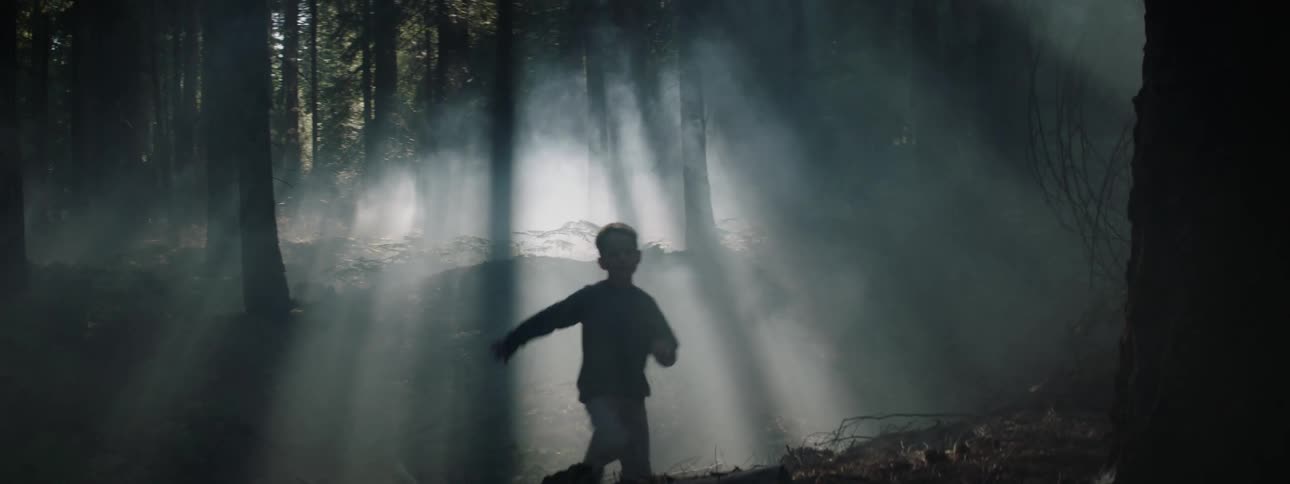A little boy runs though the woods and stands behind a tree as rays of sunlight shine brightly through the trees in the fog