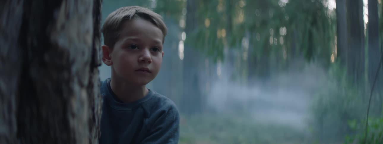 Boy leans out from behind tree to peer as fog floats through forest in the background