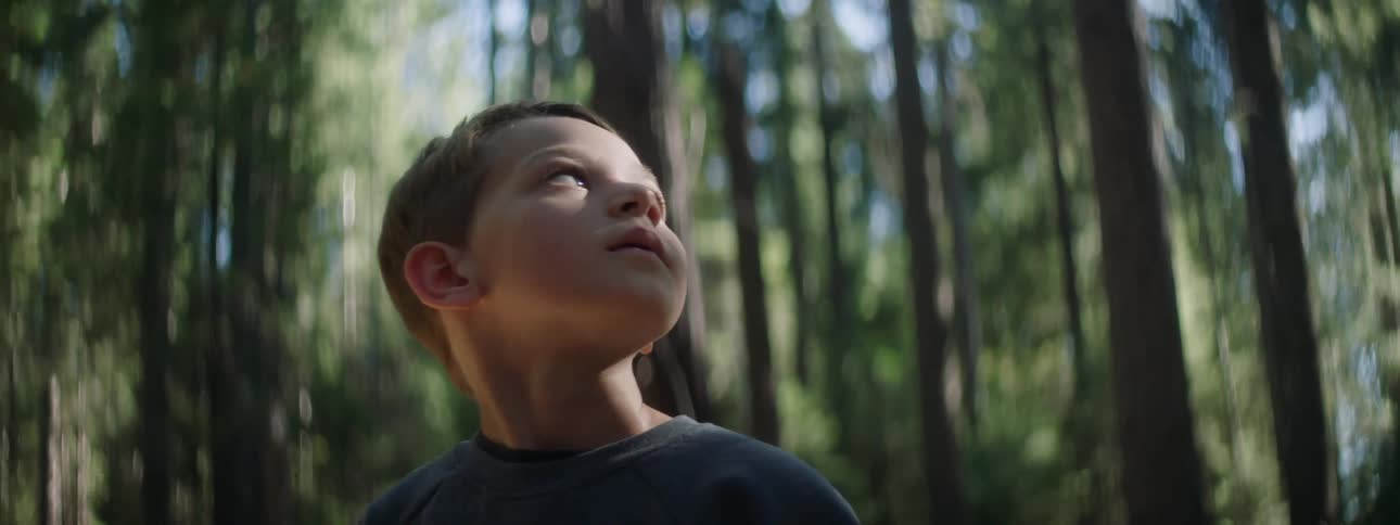 A close up of a boys face looking up at trees in a forest