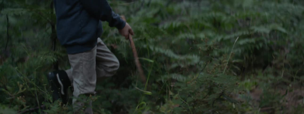 A boy is walking through the woods carrying a stick and swinging it at plants as he walks