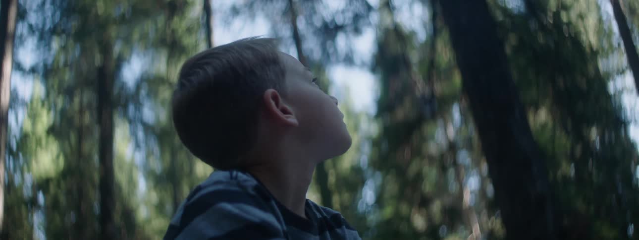 A little boy is standing in the forest and looking up at the trees