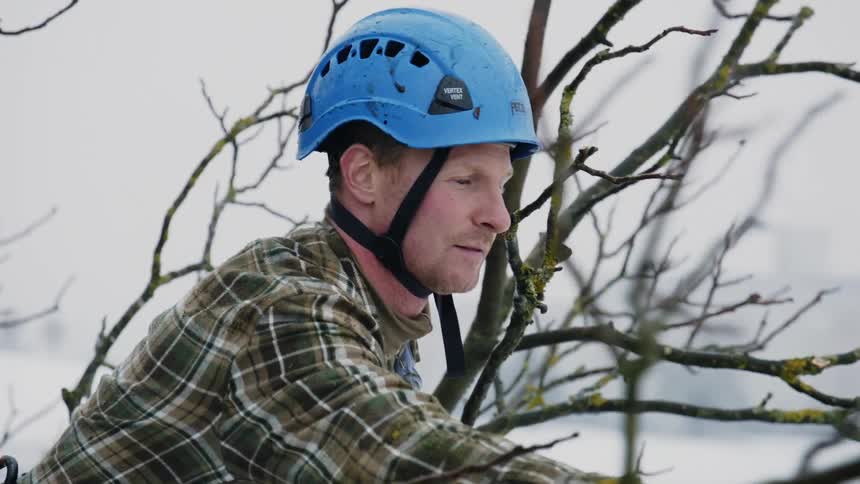 Winter Tree Pruning: Man Trimming Branches with Precision