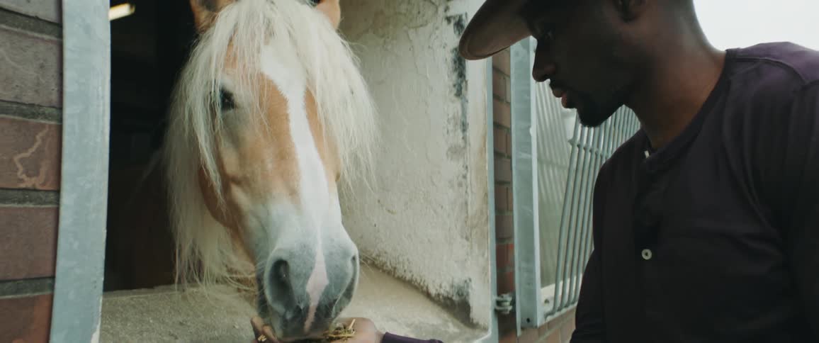 A rancher in a cowboy hat feeds a horse poking its head through the barn window
