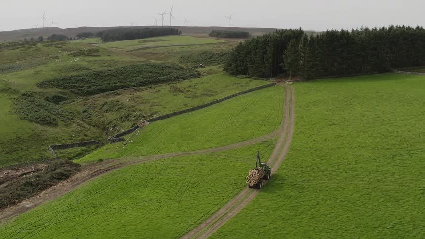 Aerial view of truck loaded with timber logs driving on dirt road in the field