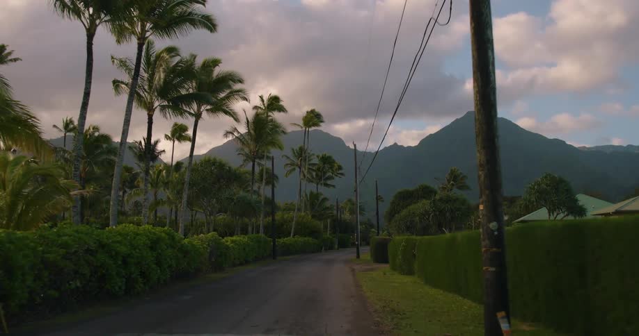 The town is lined with palm trees