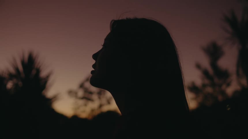 Silhouette of a woman standing outdoors at dusk is displayed