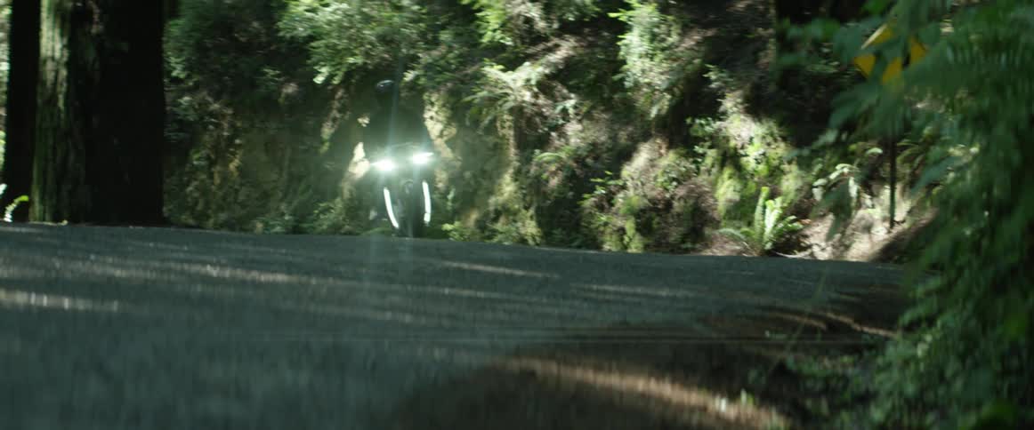 A person is riding a motorcycle around the bend of a road with a forest surrounding it
