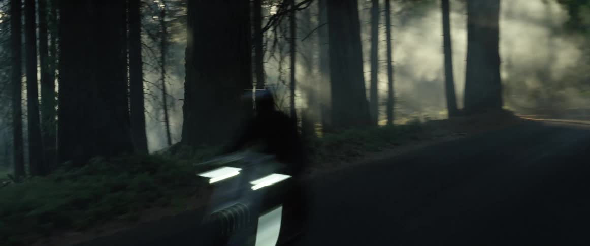 A person is riding their motorcycle through a forest