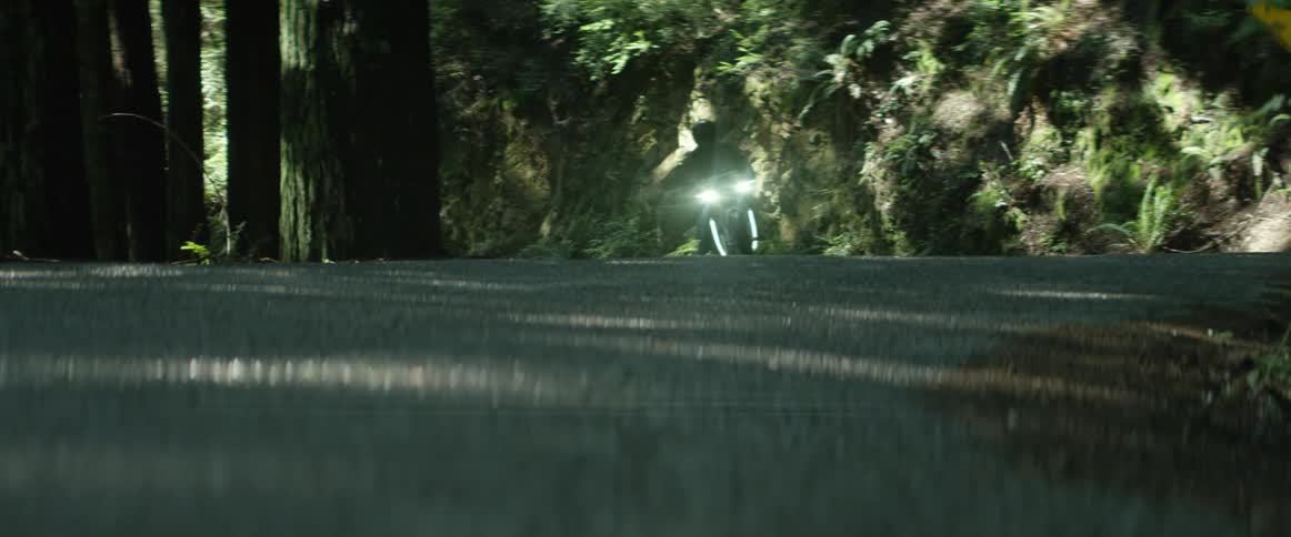 A person is driving a motorcycle through a wilderness area