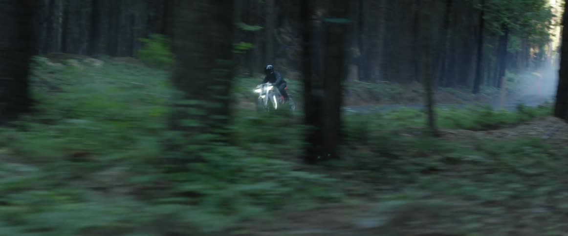 A motorcycle is speeding on a road through the woods as the rider is wearing a black jacket and helmet