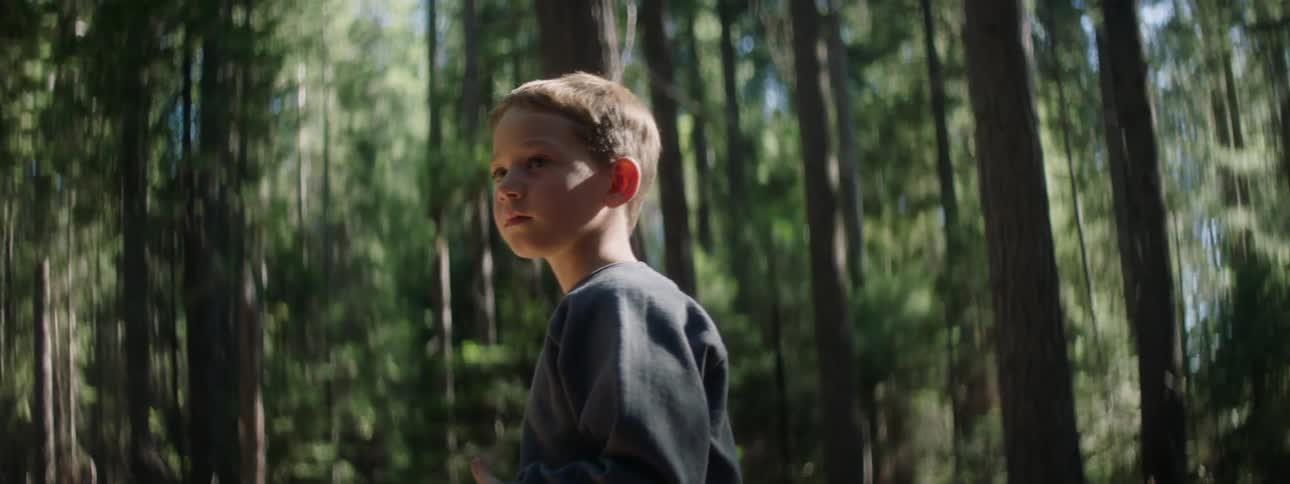 A boy standing in a forest looking around at the ground and trees