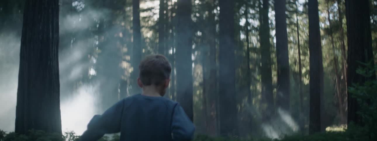 A young boy is running through a lush green forest with tall trees
