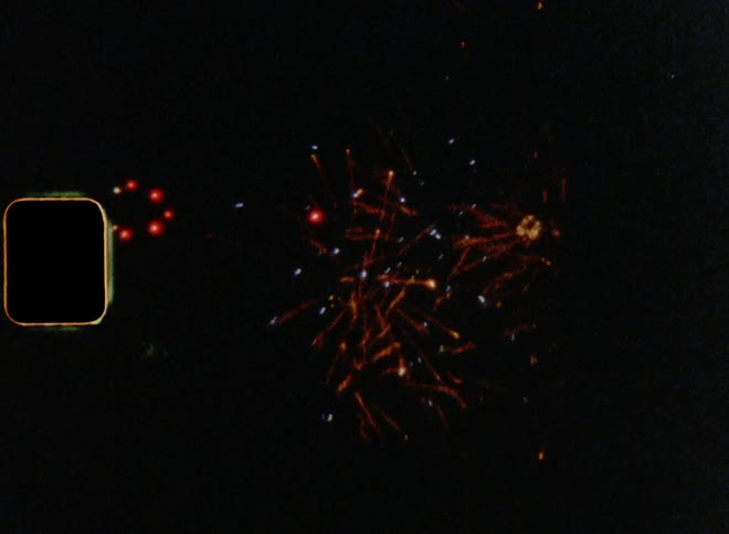 Colorful fireworks explode in the dark night sky on 4 July
