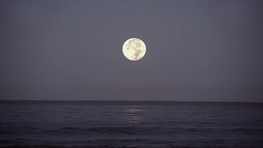 A full moon sits above the water